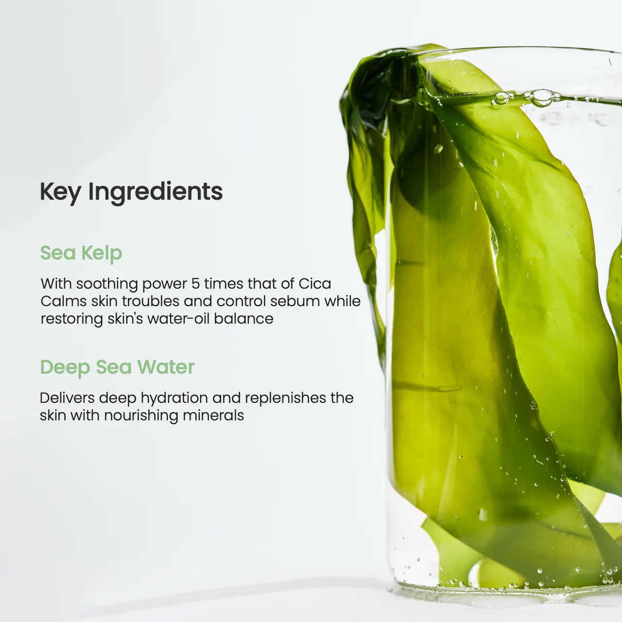 Biodance - Refreshing Sea Kelp Real Deep Mask
